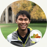 Dan Chi
