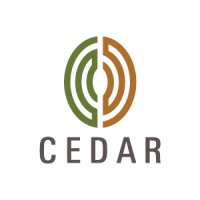 Cedar Management Consulting International LLC logo