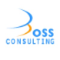 Boss Consulting SA logo