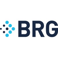 Berkeley Research Group LLC logo