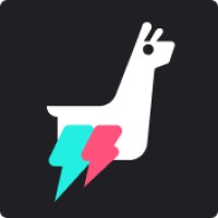 Blitzllama (by VWO) logo