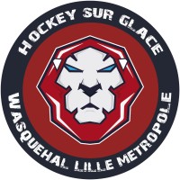 Lions de Wasquehal Lille Métropole logo