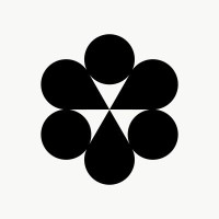Conduit logo