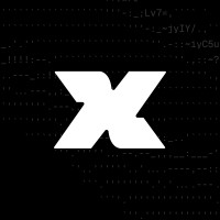 x1 logo