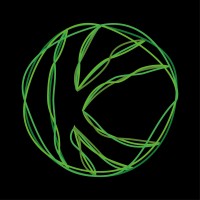 Kymatio - Activate Human Firewalls logo
