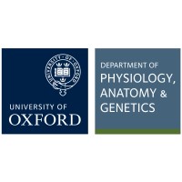 Department of Physiology, Anatomy & Genetics - University of Oxford logo