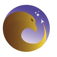 Lehigh University Space Initiative logo