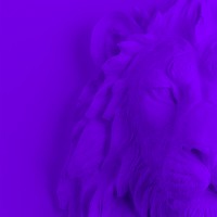 Norde logo