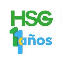 Horizontal Solutions Group Synergy logo