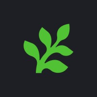 Fern logo