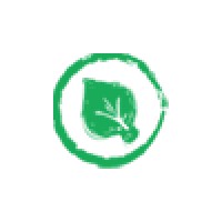 Mobile Spinach logo