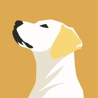 Yellow Lab Ventures logo