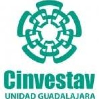 CINVESTAV, Guadalajara logo