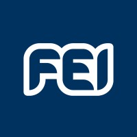 FEI logo