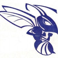 Deep Creek High School logo