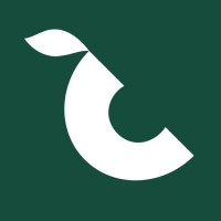 Dragoneye logo