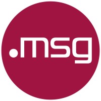 msg services ag logo