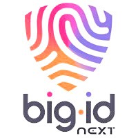 BigID logo