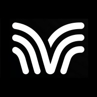 The Vibe Company logo