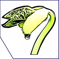 Wyaxis logo