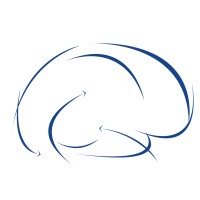 INS - Institut de Neurosciences des Systèmes logo