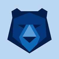 Bruin Racing logo