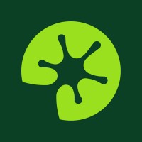 Swamped logo
