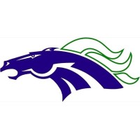 Mcneil High School logo