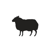 BBH USA logo