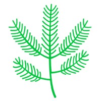 David J. Phillips logo