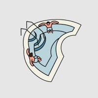 Zoom Memes for Self Quaranteens logo