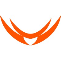 Volantis Semiconductor logo