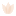 Borrowing Magnolia logo