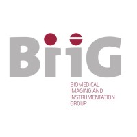 BiiG - Biomedical Imaging and Instrumentation Group logo