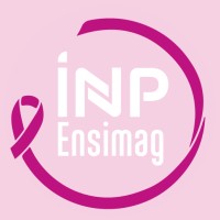 Ecole Nationale Supérieure d'Informatique et de Mathématiques Appliquées de Grenoble / ENSIMAG logo