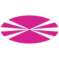 University of A Coruña logo