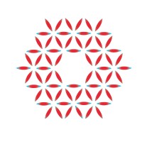 Seerave Foundation logo