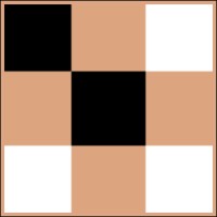 Echo Chunk AI logo