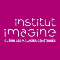 Institut Imagine logo