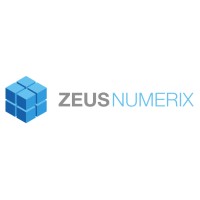 Zeus Numerix Pvt. Ltd logo