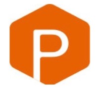 Pinpoint PT logo