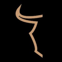 Toro Ventures VC logo