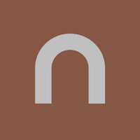 nsave logo