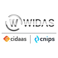 Widasconcepts India Private Limited logo