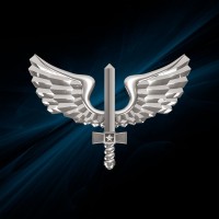 Força Aérea Brasileira - FAB logo