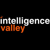 SocialValley logo