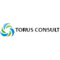 Torus Consult logo