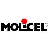 E-One Moli Energy (Canada) Limited logo