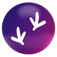 Raven logo