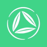 Bambú - Meditación y Mindfulness logo